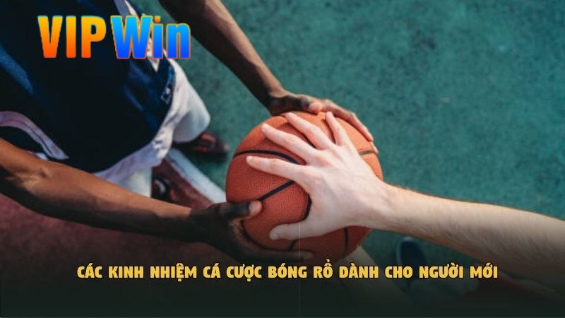 Các kinh nhiệm cá cược bóng rổ dành cho người mới