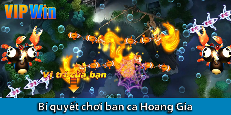 Khám phá game bắn cá Hoàng Gia: Trải nghiệm game đổi thưởng hàng đầu