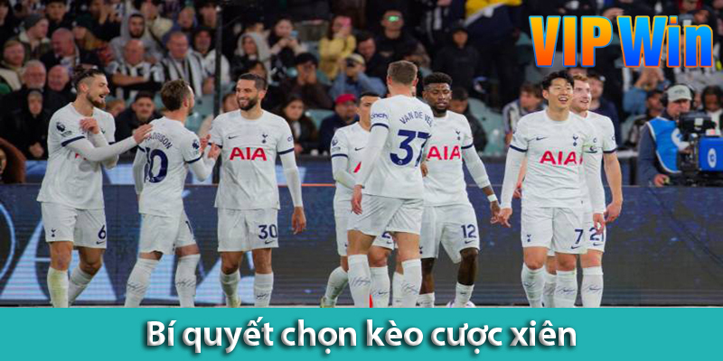 Bí quyết chọn kèo cược xiên – Cách lấy tiền nhà cái đơn giản nhất cho anh em