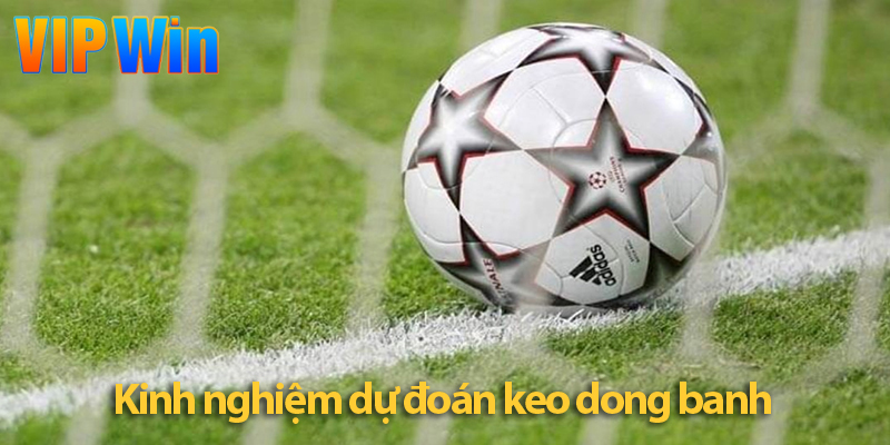 Kèo đồng banh: Hướng dẫn đọc, cách chơi và kinh nghiệm soi kèo chuẩn 2025